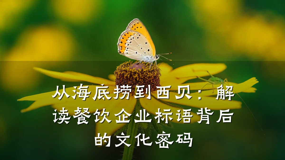 从海底捞到西贝：解读餐饮企业标语背后的文化密码