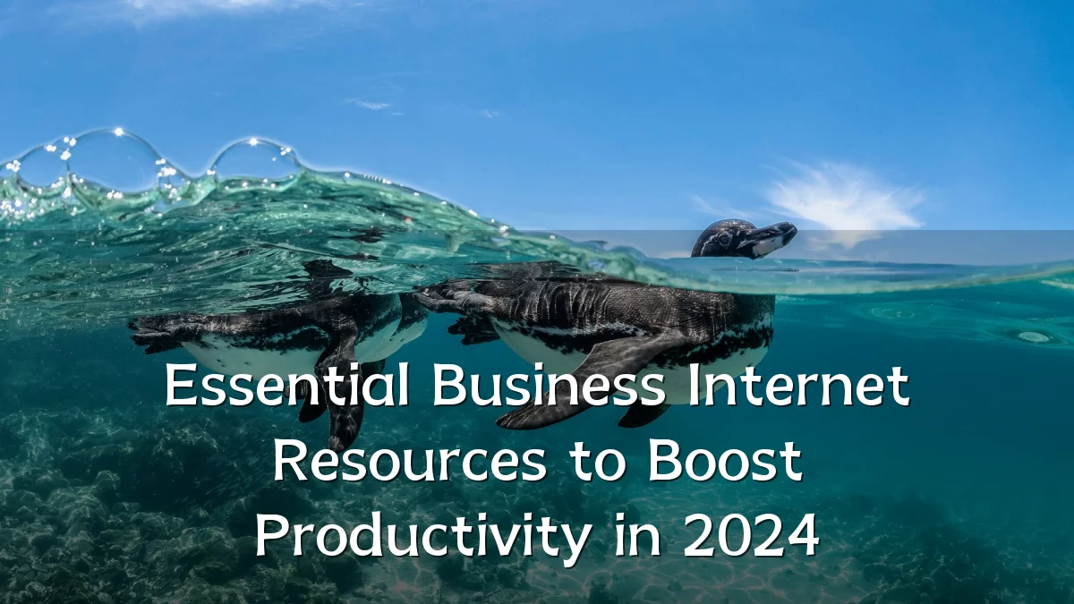 Essential Business Internet Resources to Boost Productivity in 2024
