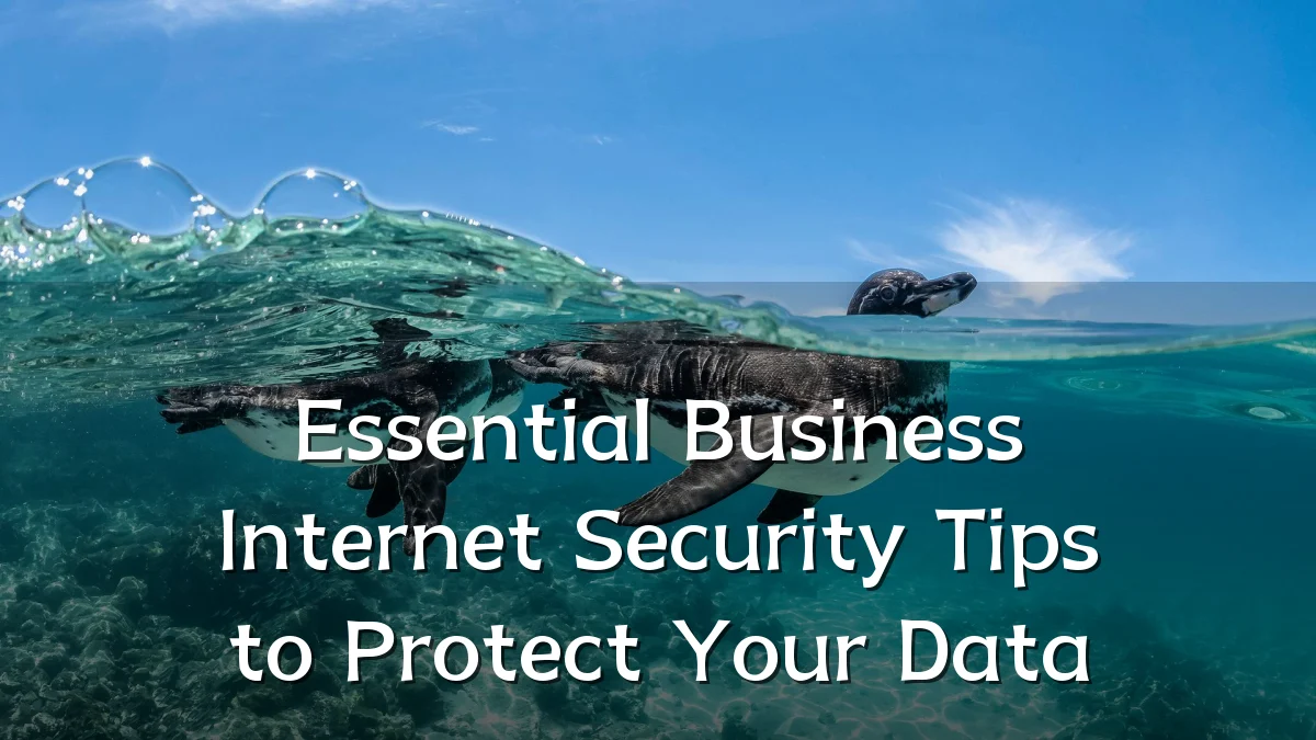 Essential Business Internet Security Tips to Protect Your Data