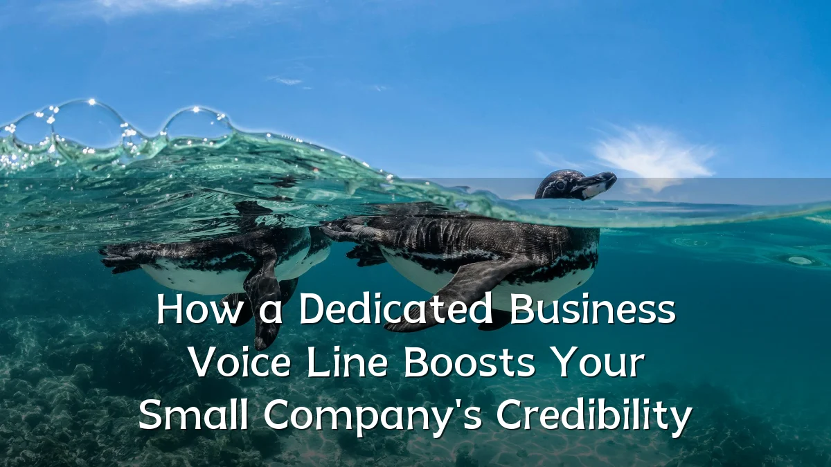 How a Dedicated Business Voice Line Boosts Your Small Company's Credibility