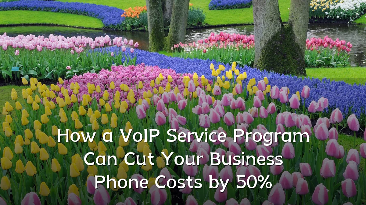 How a VoIP Service Program Can Cut Your Business Phone Costs by 50%