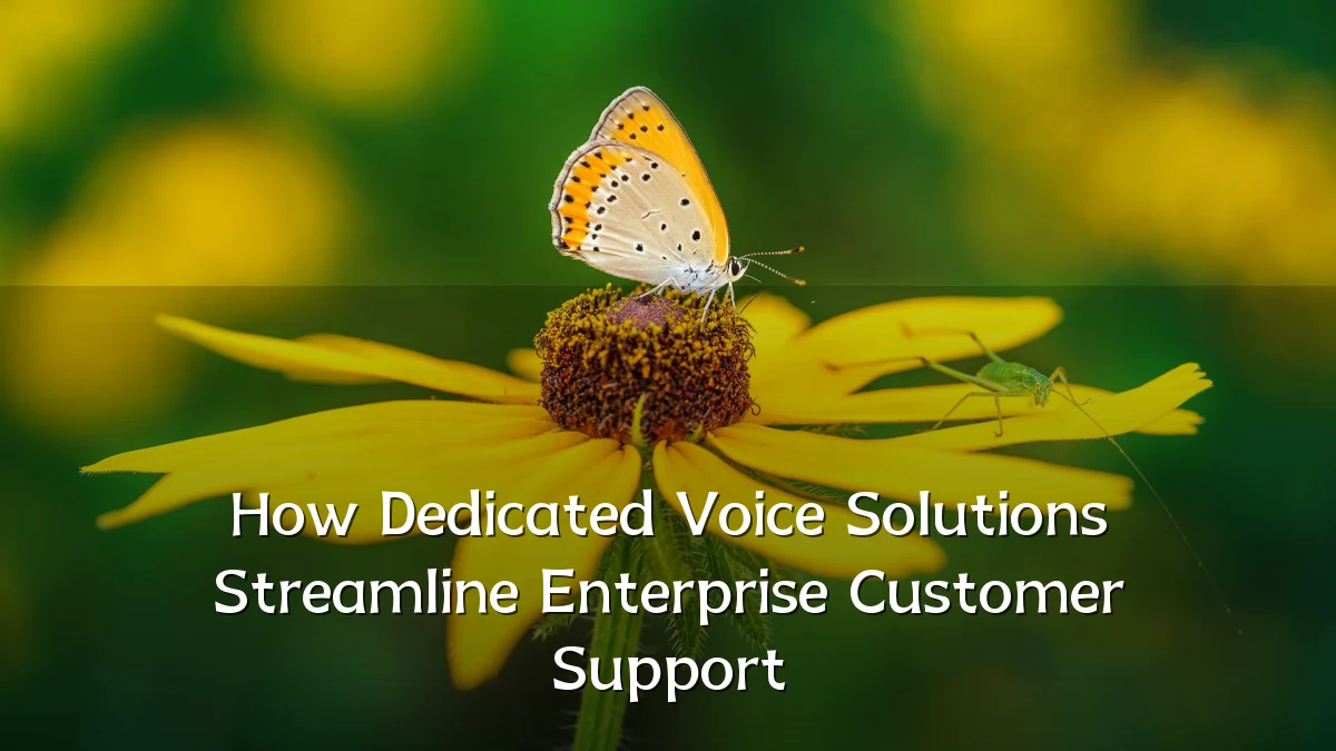 How Dedicated Voice Solutions Streamline Enterprise Customer Support
