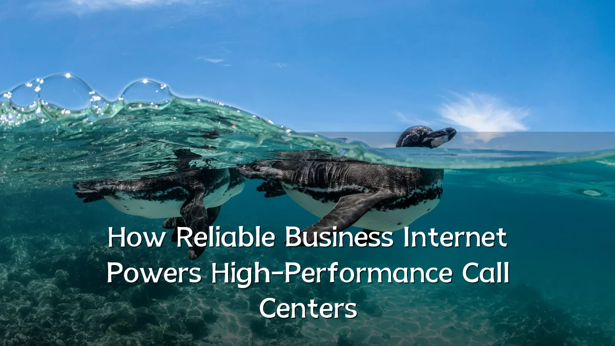 How Reliable Business Internet Powers High-Performance Call Centers