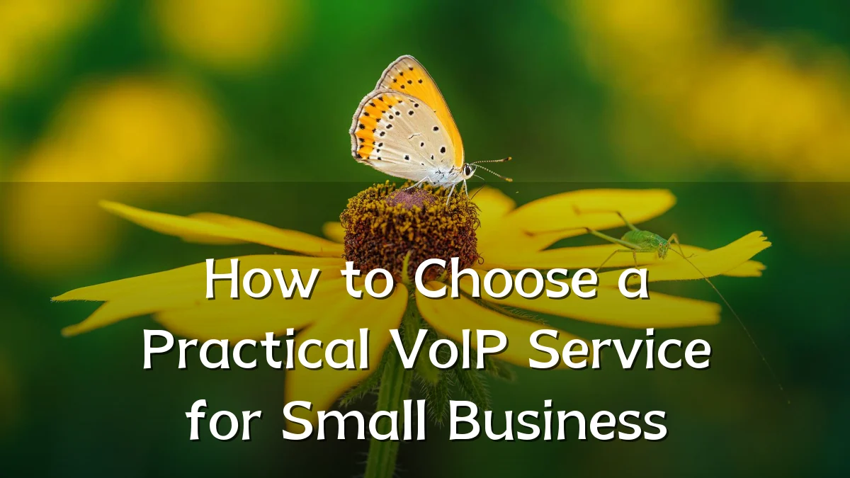 How to Choose a Practical VoIP Service for Small Business