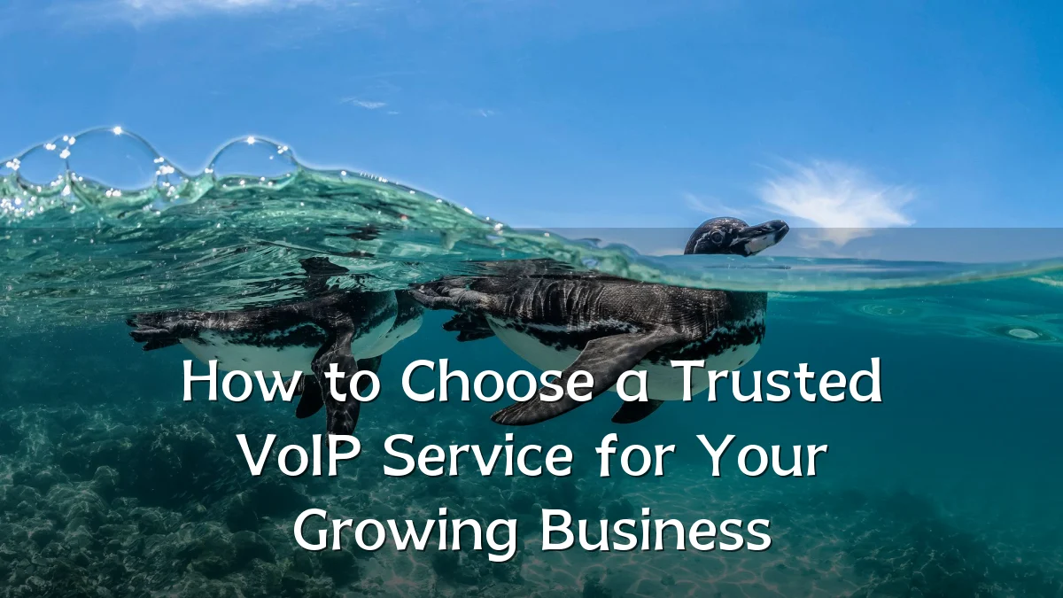 How to Choose a Trusted VoIP Service for Your Growing Business