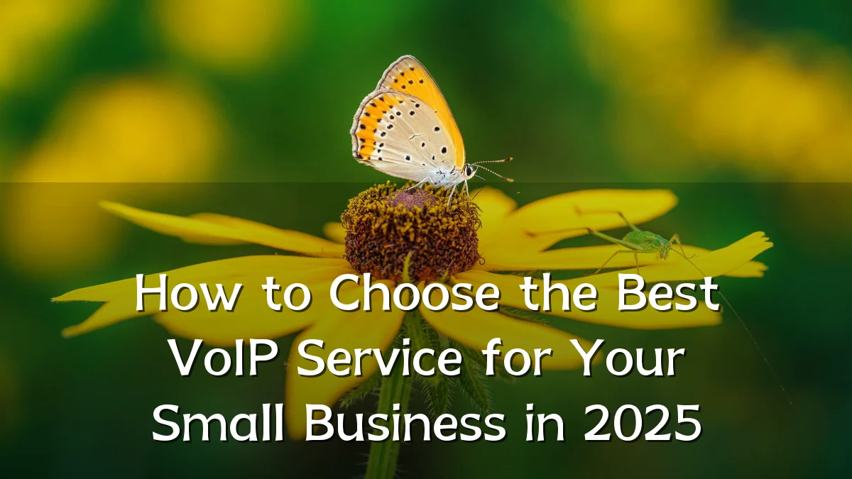 How to Choose the Best VoIP Service for Your Small Business in 2025