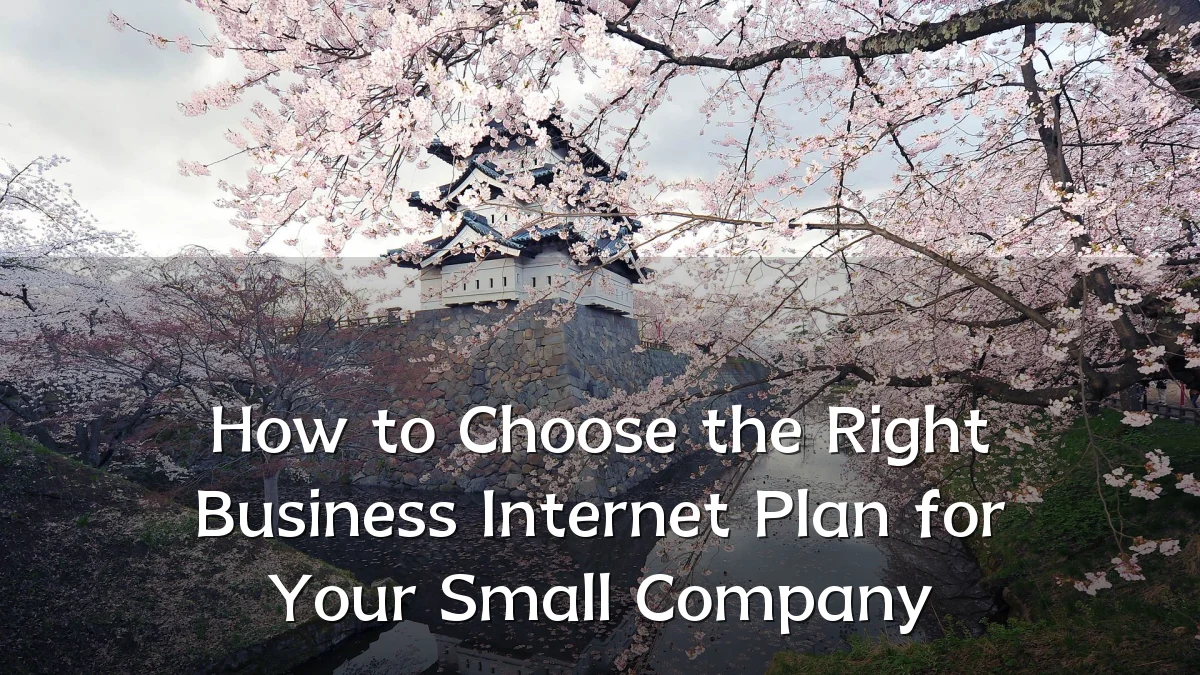 How to Choose the Right Business Internet Plan for Your Small Company