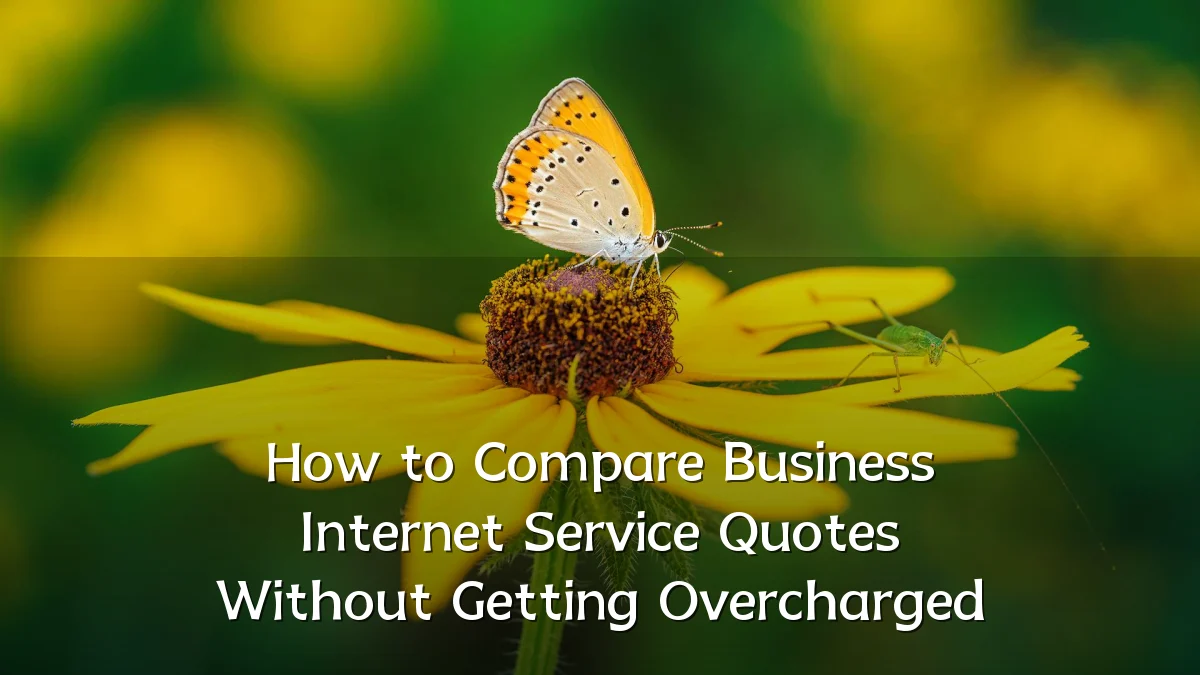 How to Compare Business Internet Service Quotes Without Getting Overcharged