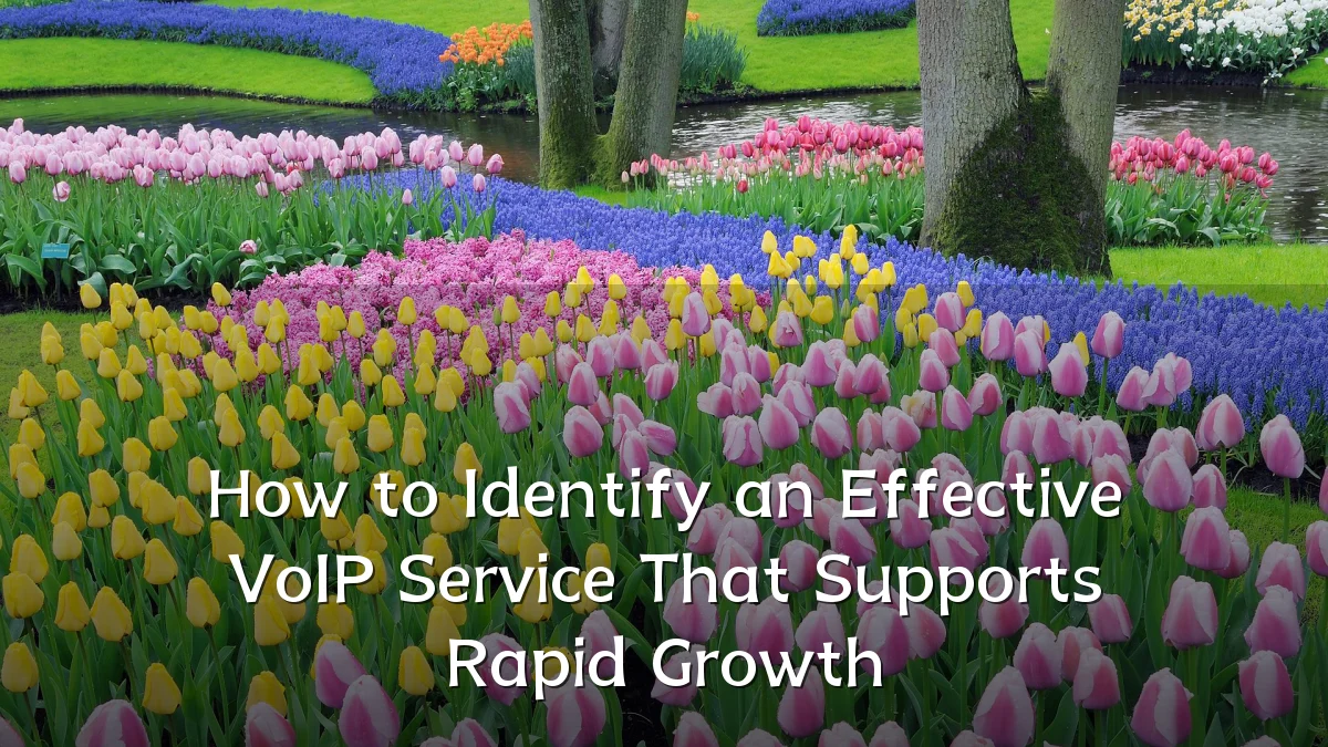 How to Identify an Effective VoIP Service That Supports Rapid Growth
