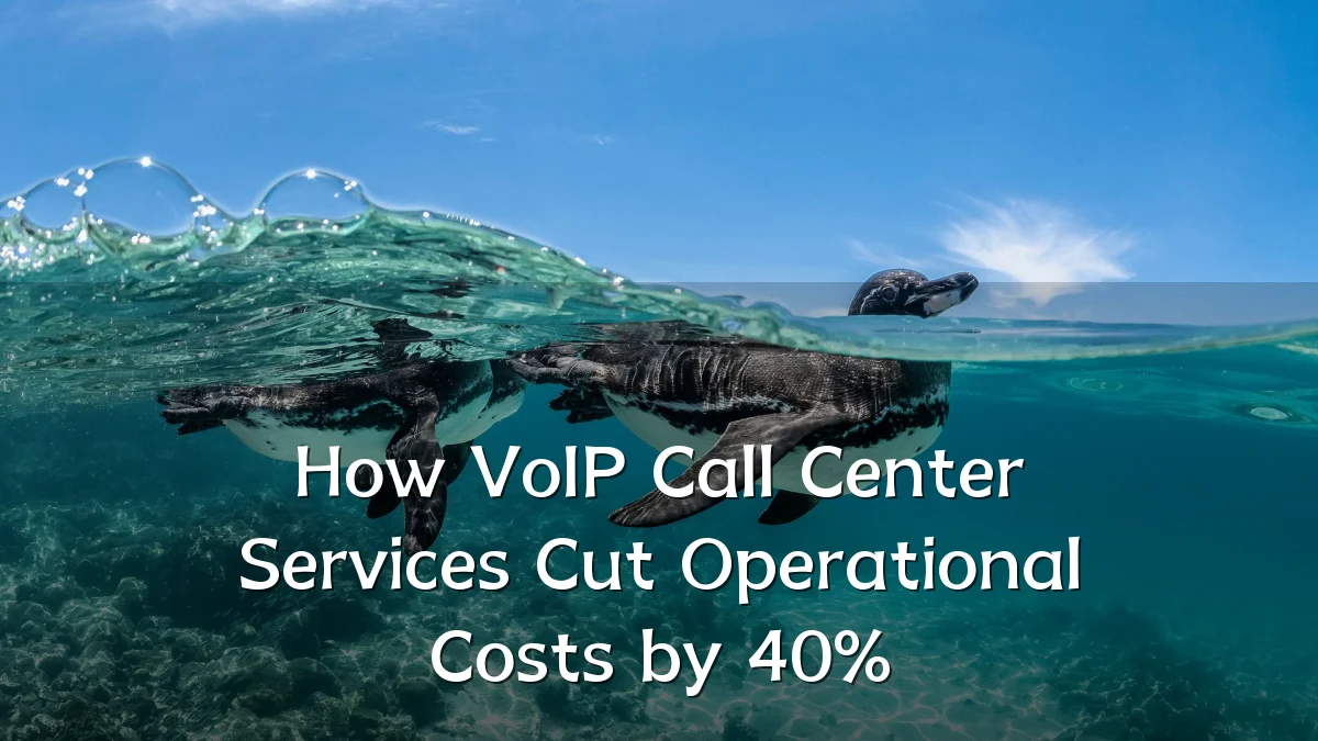 How VoIP Call Center Services Cut Operational Costs by 40%