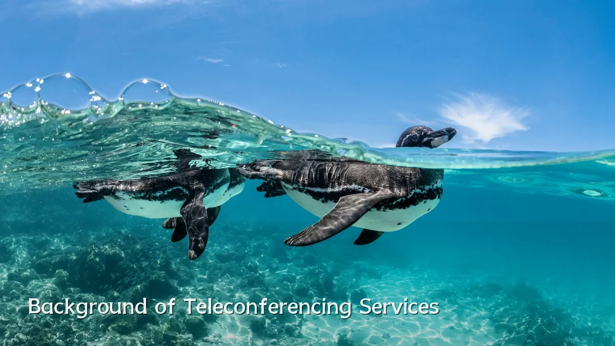 Background of Teleconferencing Services