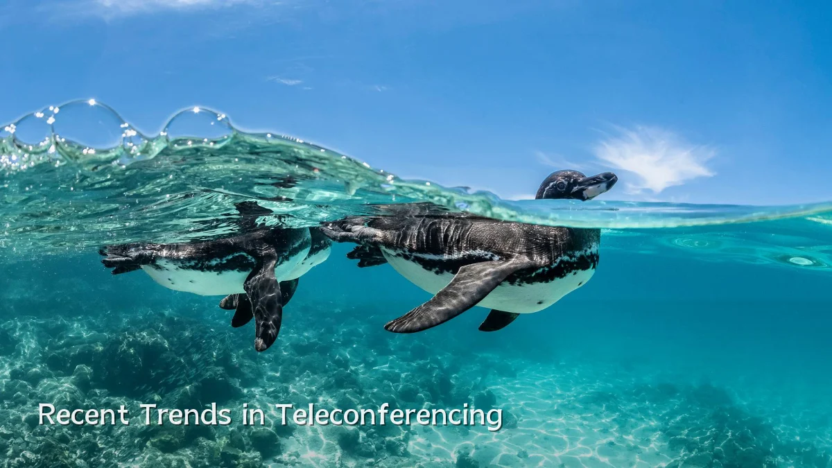 Recent Trends in Teleconferencing