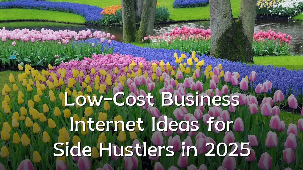Low-Cost Business Internet Ideas for Side Hustlers in 2025