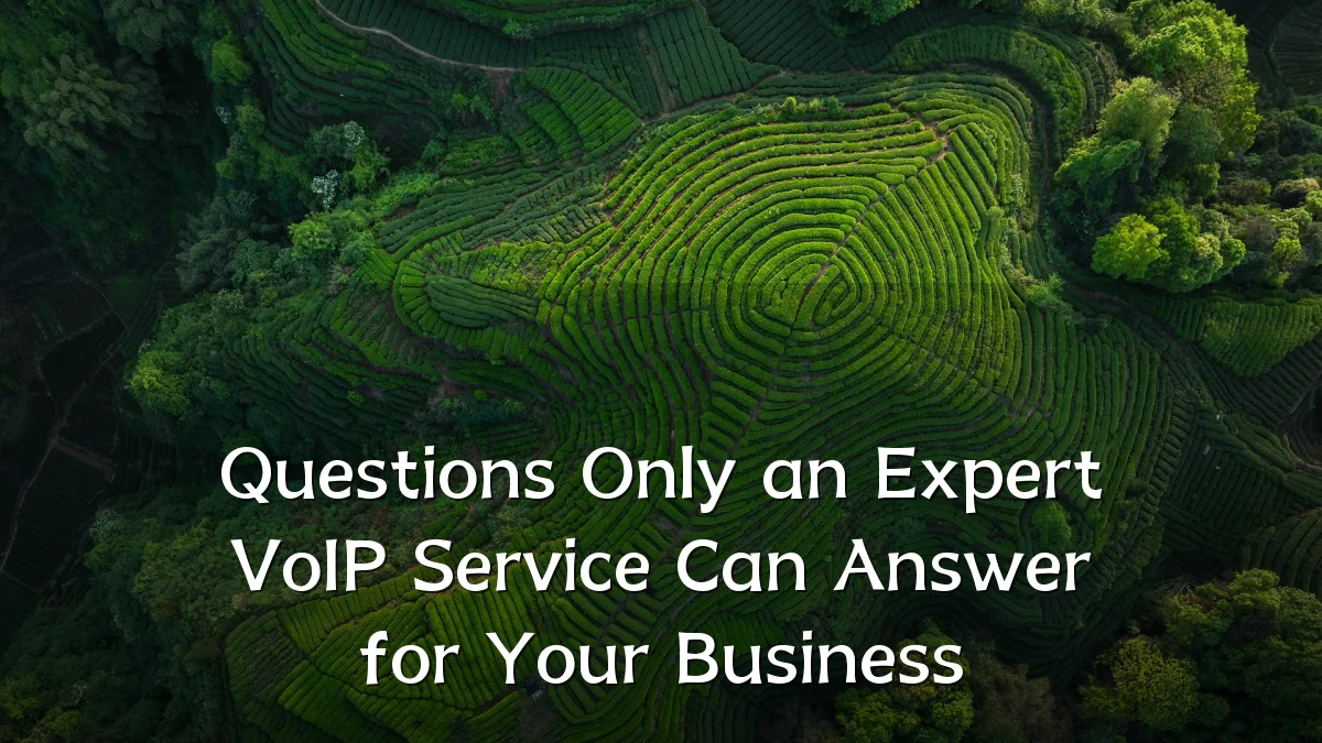Questions Only an Expert VoIP Service Can Answer for Your Business