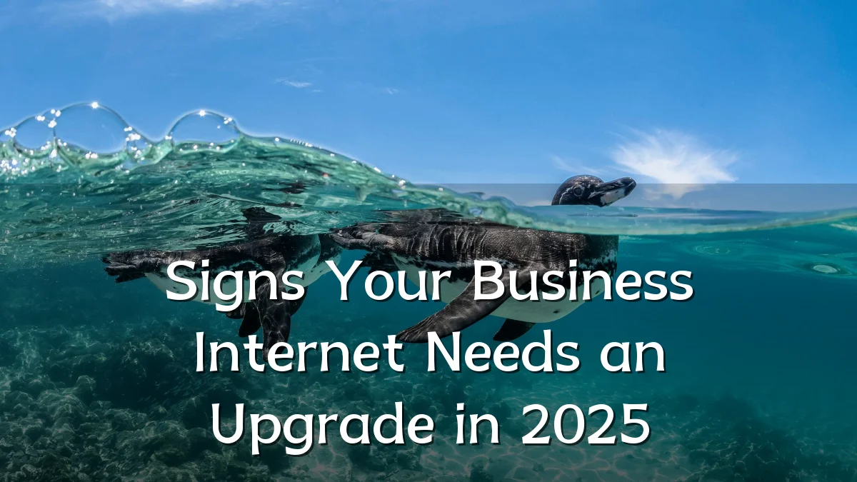 Signs Your Business Internet Needs an Upgrade in 2025