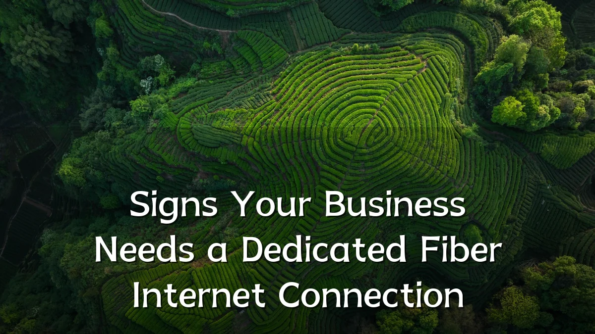 Signs Your Business Needs a Dedicated Fiber Internet Connection