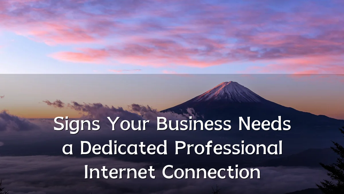 Signs Your Business Needs a Dedicated Professional Internet Connection