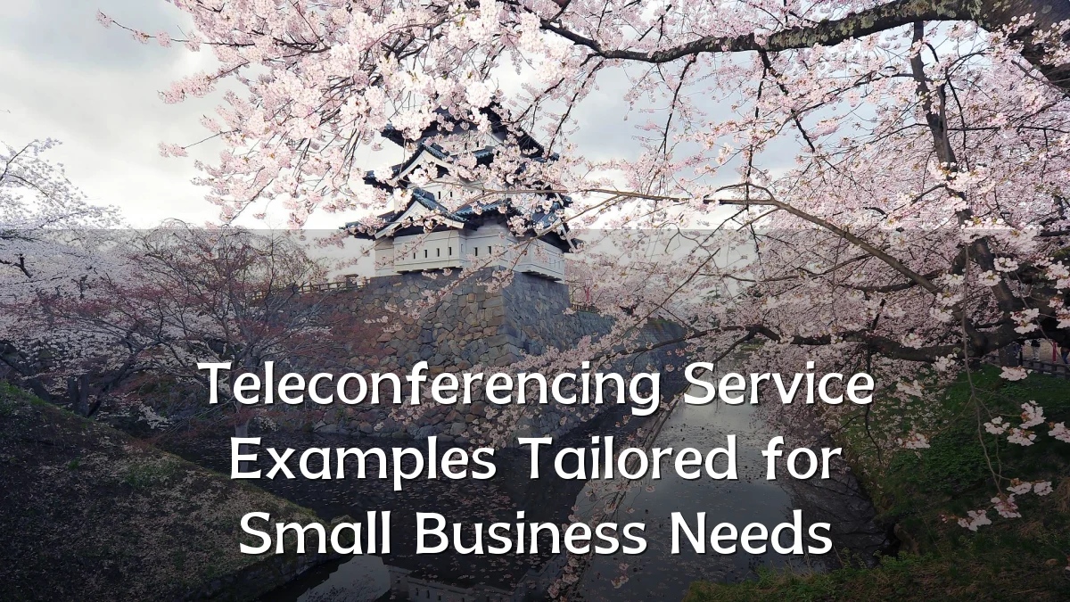 Teleconferencing Service Examples Tailored for Small Business Needs