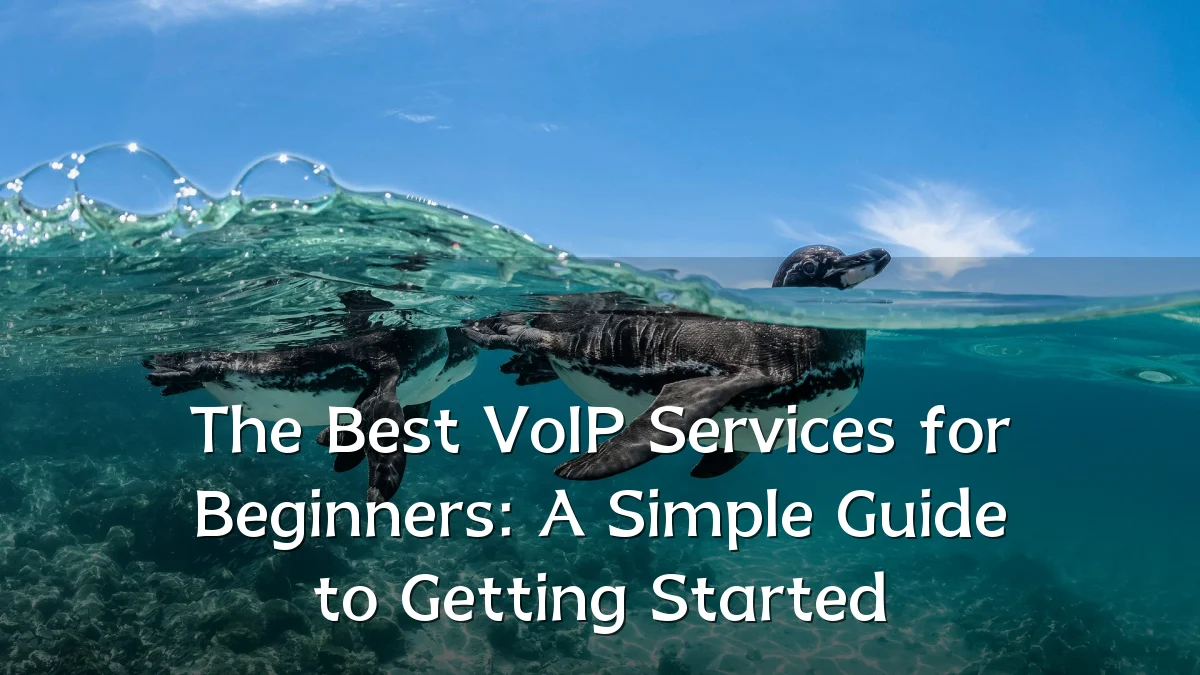 The Best VoIP Services for Beginners: A Simple Guide to Getting Started