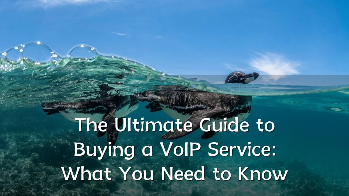 The Ultimate Guide to Buying a VoIP Service: What You Need to Know