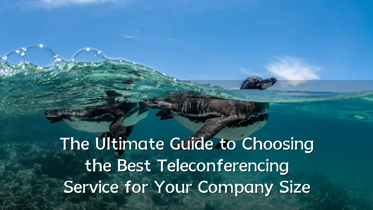 The Ultimate Guide to Choosing the Best Teleconferencing Service for Your Company Size