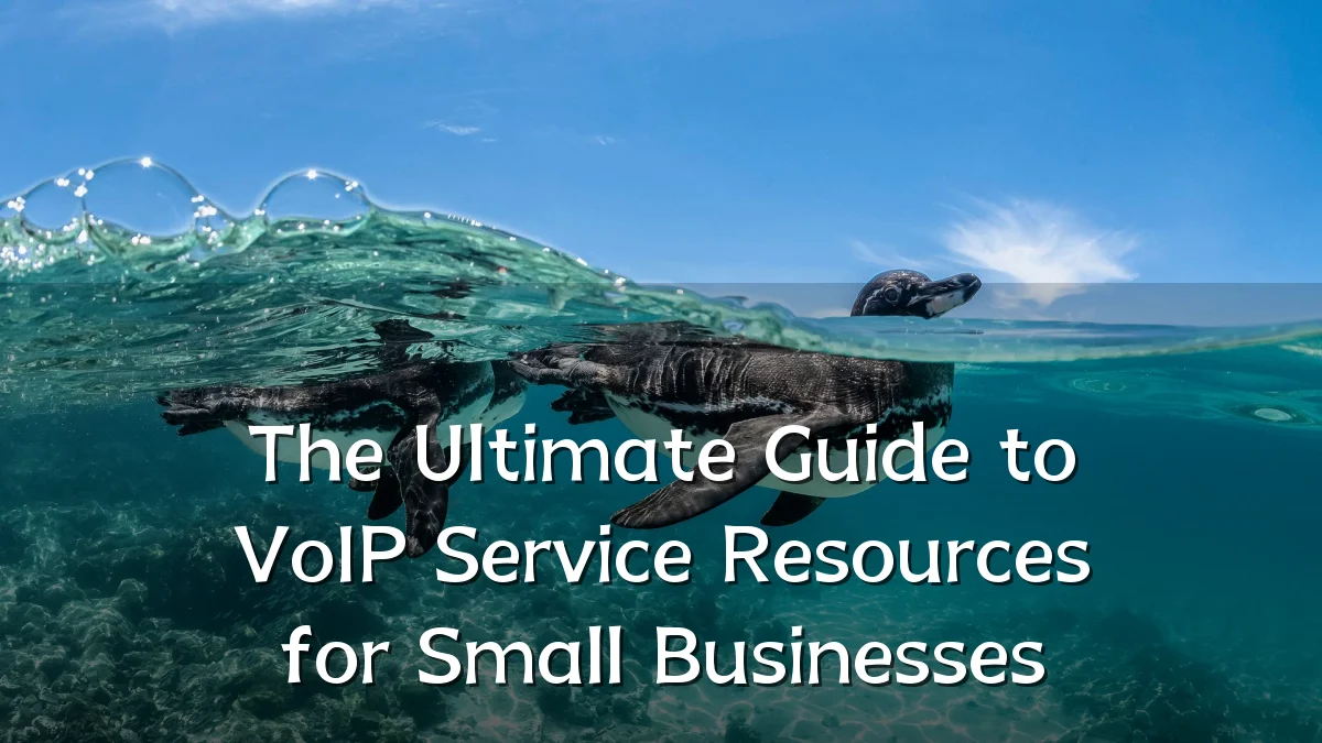 The Ultimate Guide to VoIP Service Resources for Small Businesses