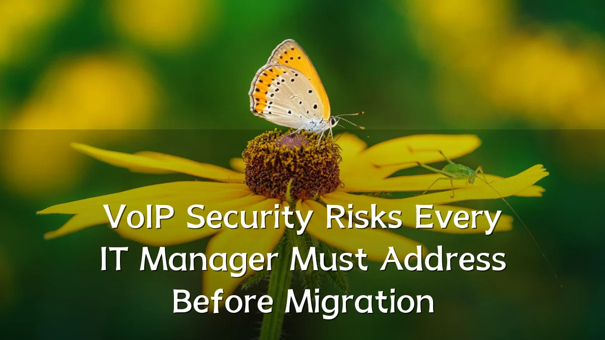 VoIP Security Risks Every IT Manager Must Address Before Migration