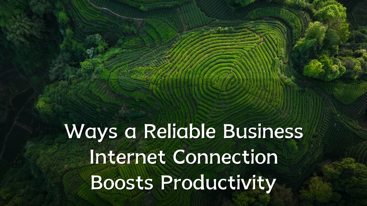 Ways a Reliable Business Internet Connection Boosts Productivity