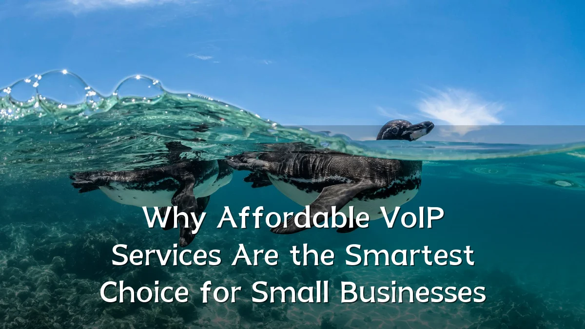 Why Affordable VoIP Services Are the Smartest Choice for Small Businesses