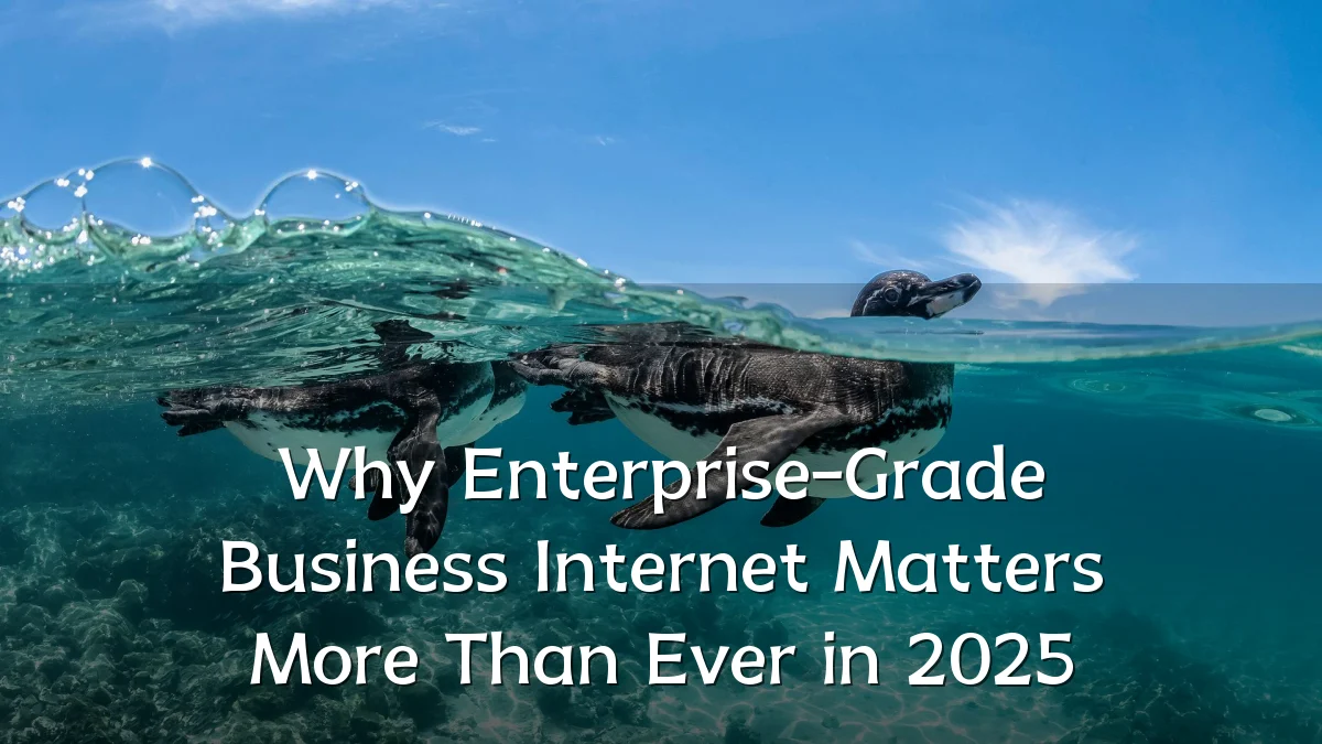 Why Enterprise-Grade Business Internet Matters More Than Ever in 2025