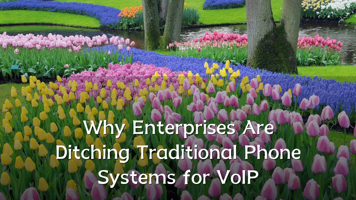 Why Enterprises Are Ditching Traditional Phone Systems for VoIP
