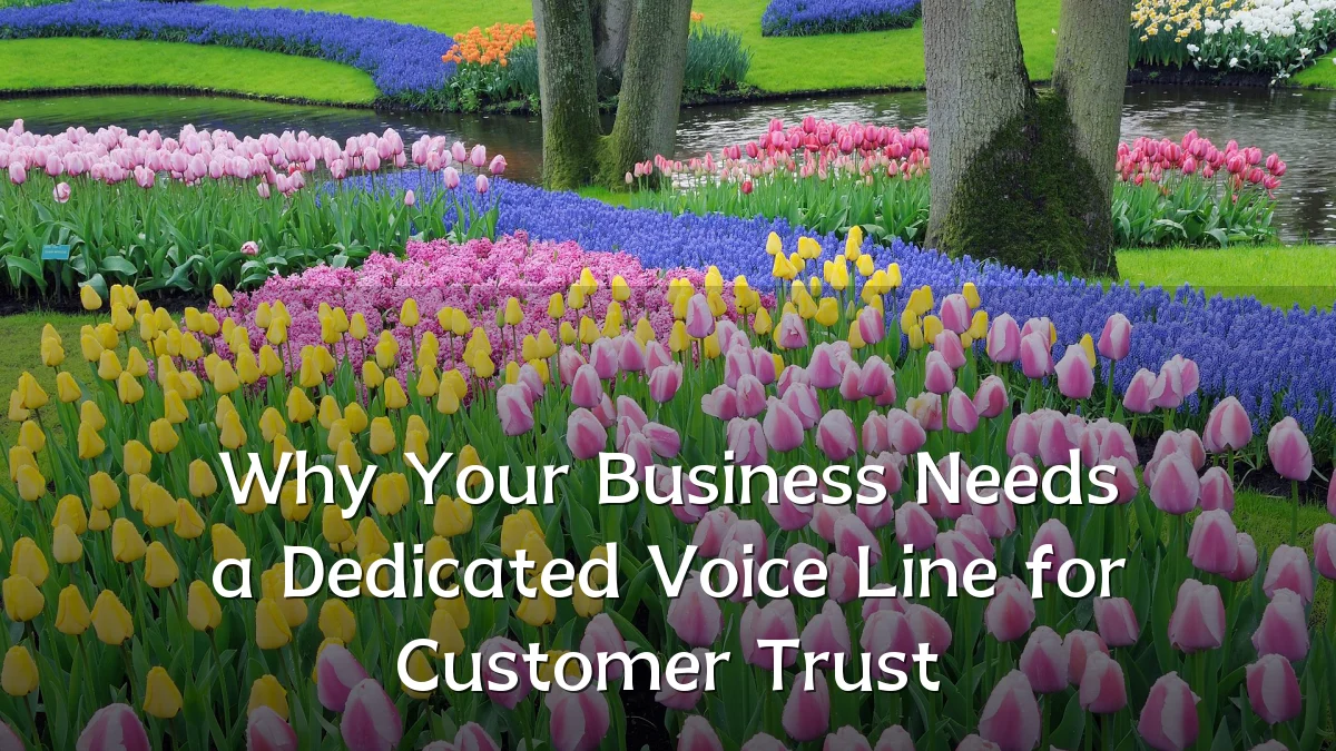 Why Your Business Needs a Dedicated Voice Line for Customer Trust