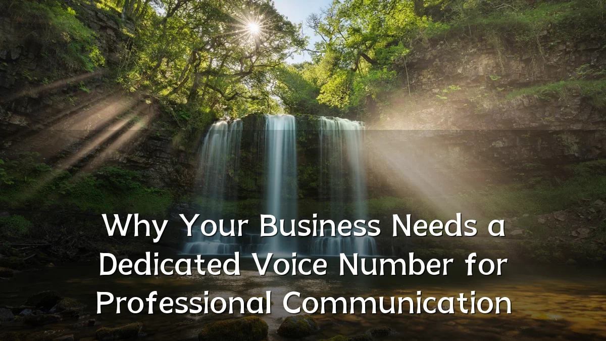 Why Your Business Needs a Dedicated Voice Number for Professional Communication