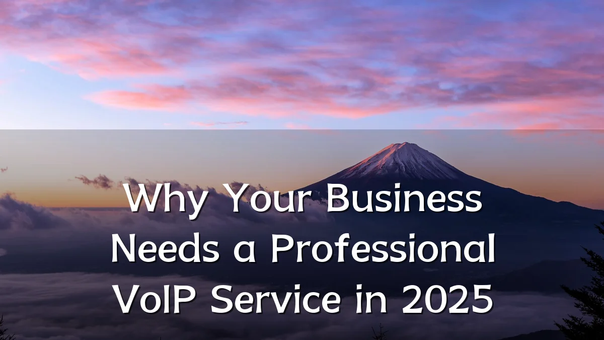 Why Your Business Needs a Professional VoIP Service in 2025
