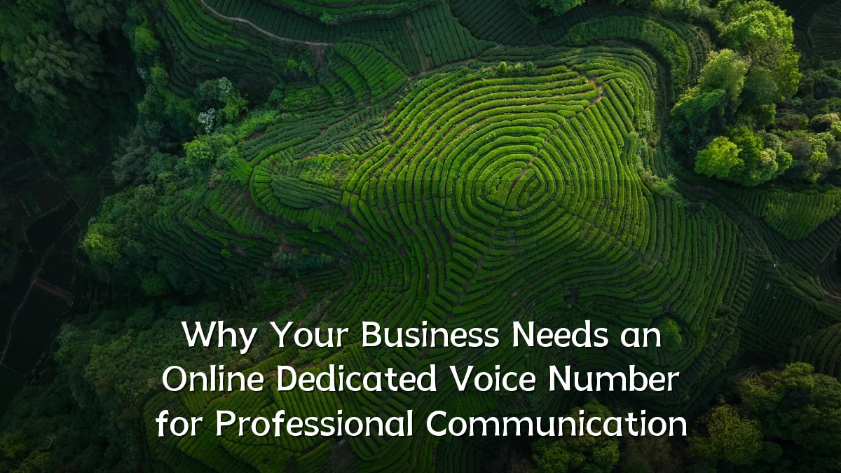 Why Your Business Needs an Online Dedicated Voice Number for Professional Communication