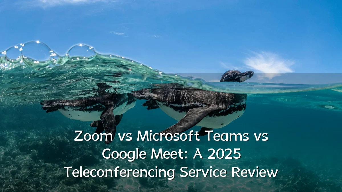 Zoom vs Microsoft Teams vs Google Meet: A 2025 Teleconferencing Service Review