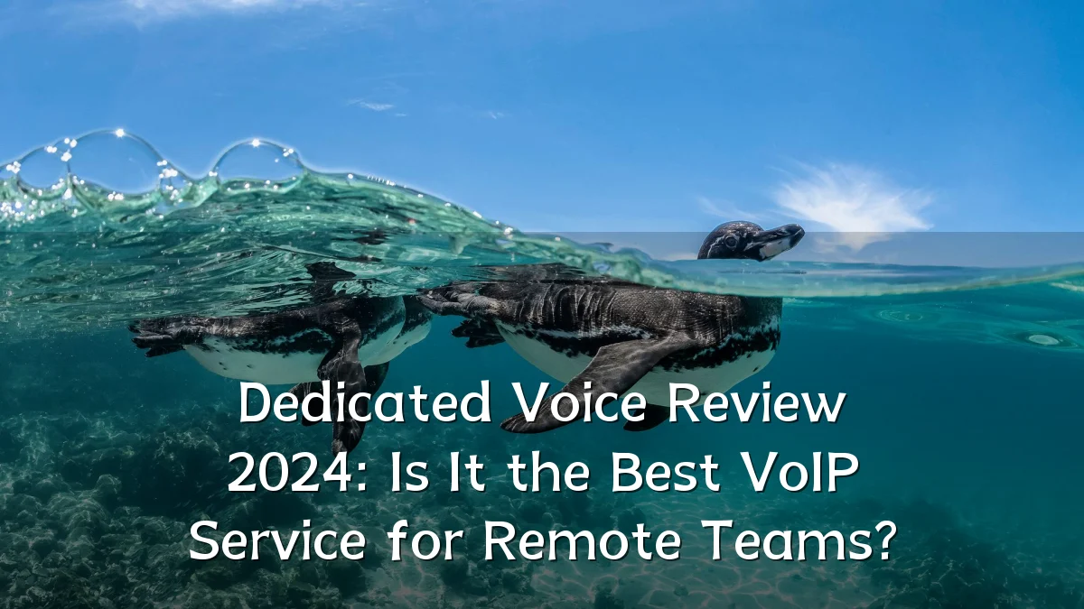 Dedicated Voice Review 2024: Is It the Best VoIP Service for Remote Teams?
