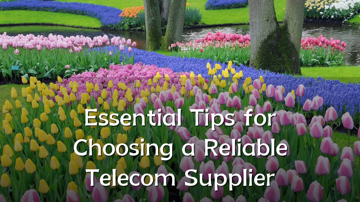 Essential Tips for Choosing a Reliable Telecom Supplier