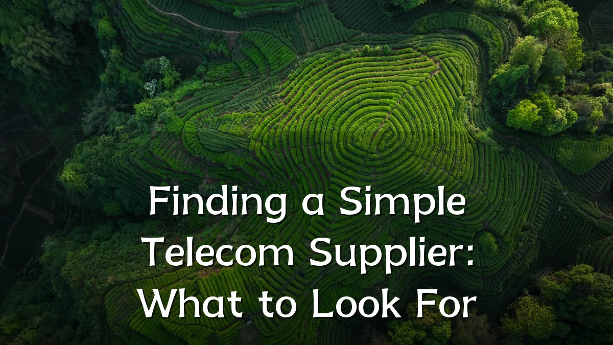 Finding a Simple Telecom Supplier: What to Look For