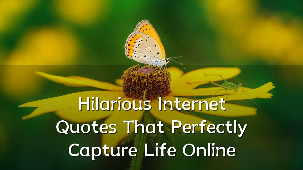 Hilarious Internet Quotes That Perfectly Capture Life Online