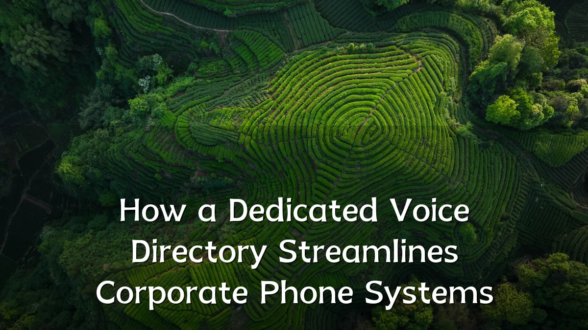 How a Dedicated Voice Directory Streamlines Corporate Phone Systems