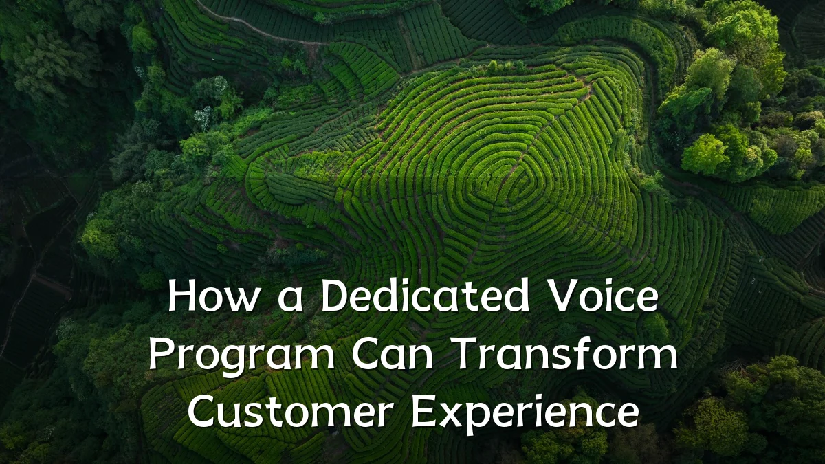 How a Dedicated Voice Program Can Transform Customer Experience