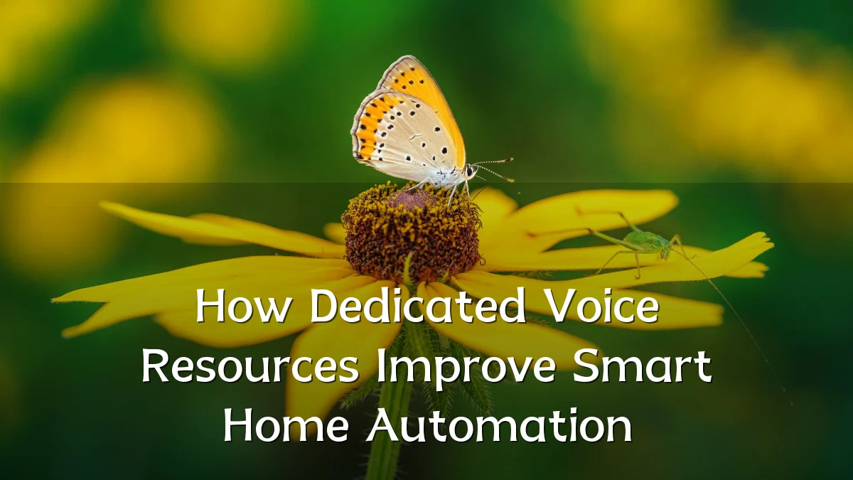 How Dedicated Voice Resources Improve Smart Home Automation