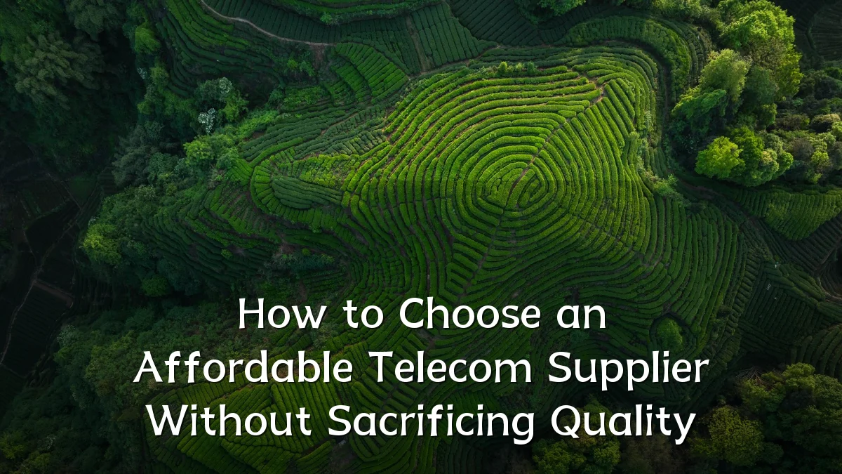 How to Choose an Affordable Telecom Supplier Without Sacrificing Quality