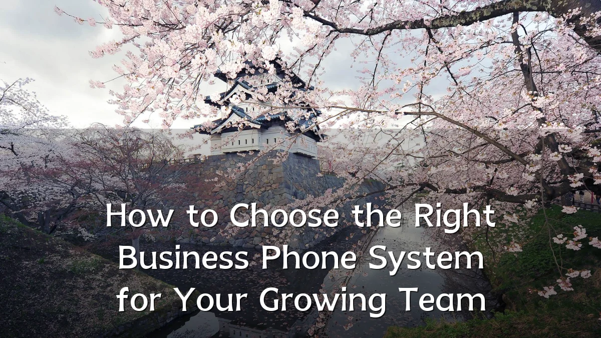 How to Choose the Right Business Phone System for Your Growing Team