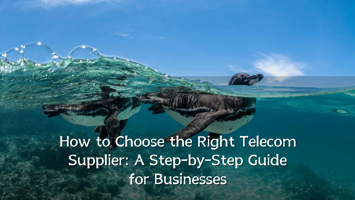 How to Choose the Right Telecom Supplier: A Step-by-Step Guide for Businesses