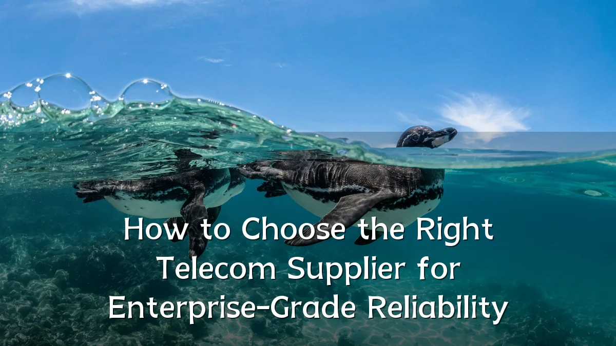 How to Choose the Right Telecom Supplier for Enterprise-Grade Reliability