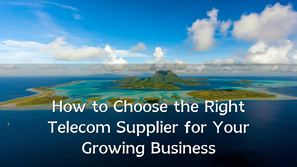 How to Choose the Right Telecom Supplier for Your Growing Business