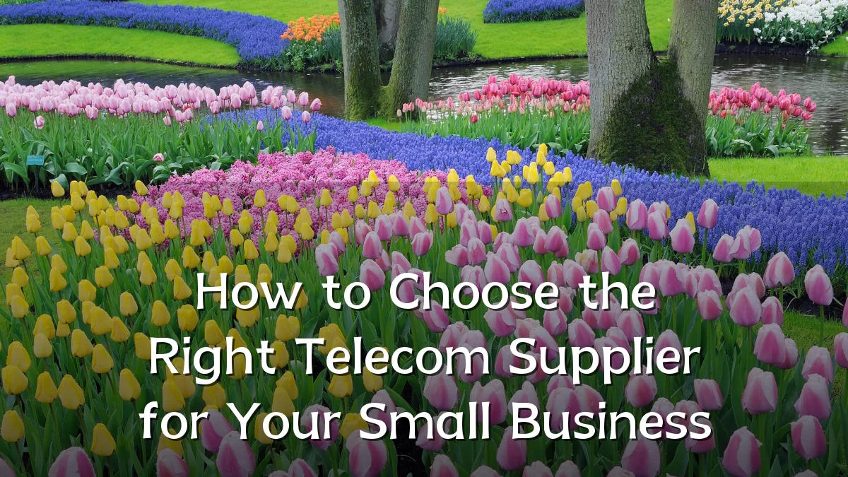 How to Choose the Right Telecom Supplier for Your Small Business