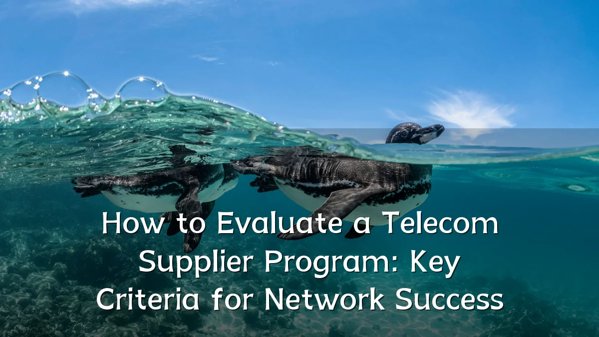 How to Evaluate a Telecom Supplier Program: Key Criteria for Network Success